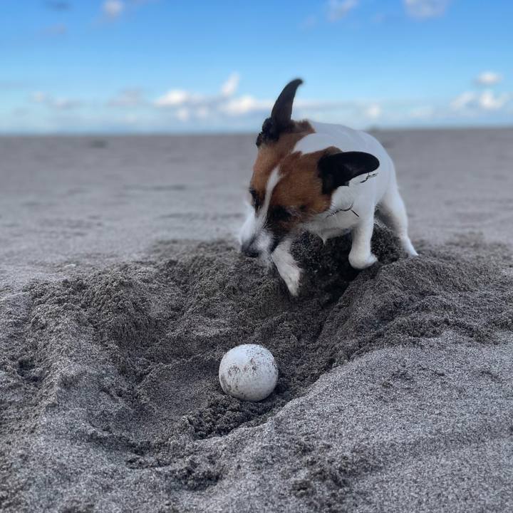 De1a1b37 8c1b 44ed 976b ba4cdcd716c3 1758931014981