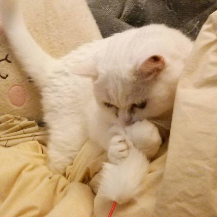 De1a1d34 dc91 4f85 b96c 121ad21a2ffc 1530350379772