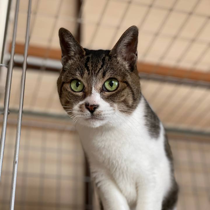 De1a2db9 b2cd 4375 bfb2 17659f907e50 1648685190270