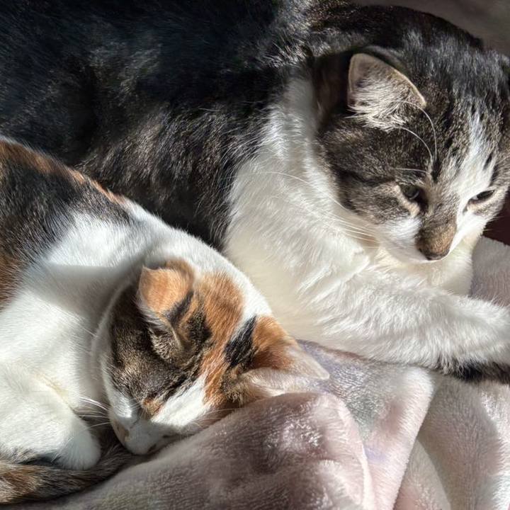 De1a534f 9185 4306 ab5e b9d9674b4d52 1732433368299