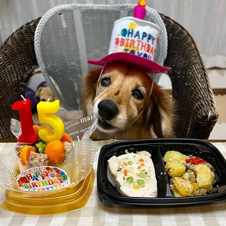 De1a9dc0 f6db 43aa bac9 83282029de53 1658757492970