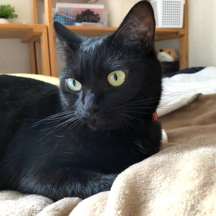 De1ab4d7 bab5 4b55 87a6 d501709291d9 1562631049929