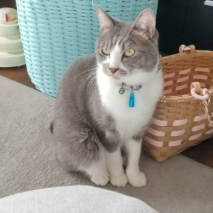 De1acd25 63d0 419d 888a 7f7bd940fbb0 1704690035174