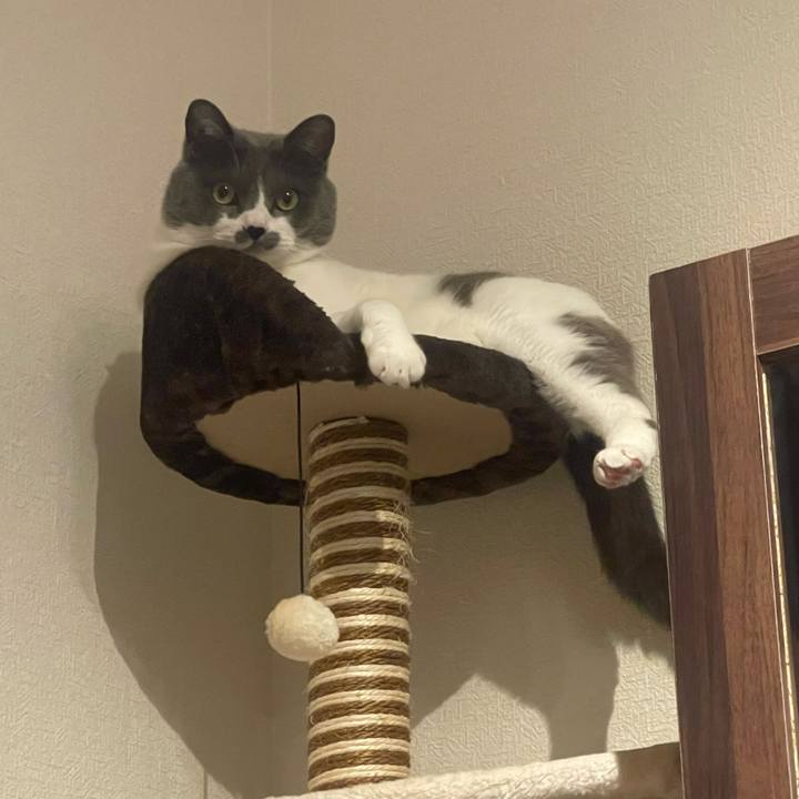 De1af922 1645 4ac8 afa9 a366d33bf85e 1685527093320