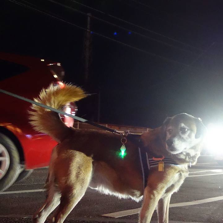 De1b52ac 0e5b 45ad be13 70ae4238c3ff 1546341661048