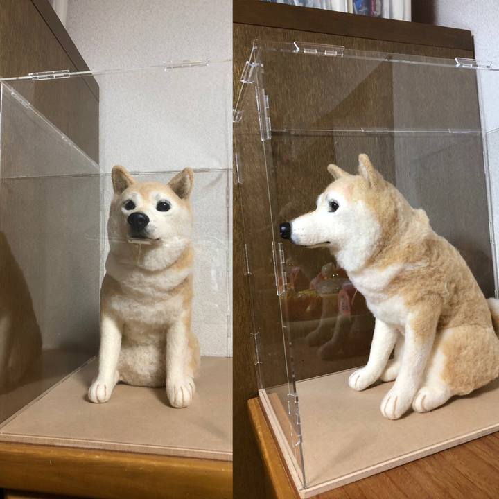 De1b5be8 1ee3 4bf1 b8bb ea78aa5cd362 1559946693527