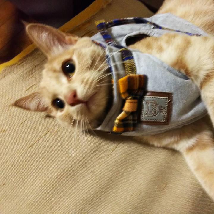 De1b8a28 b74d 49d2 bb93 87a873561958 1545983718490