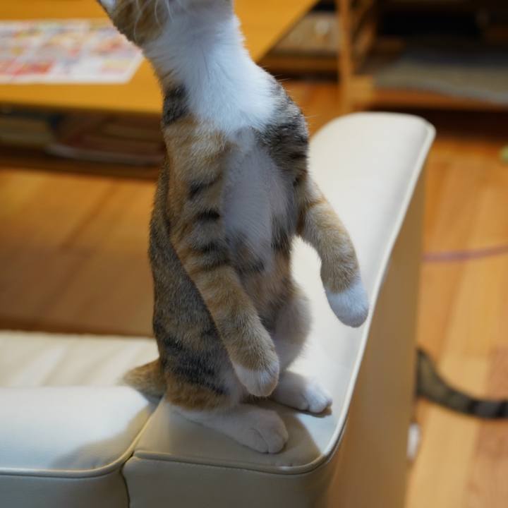 De1b9127 7678 494d 8305 f88056567cc2 1570491667522