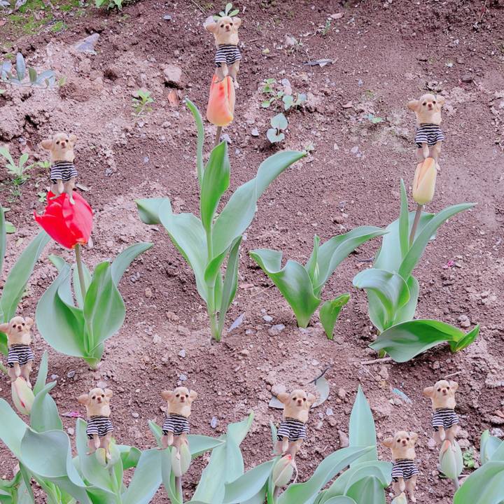 De1bc60e 42ec 4a8f 8220 dc022b318f2a 1680429547920