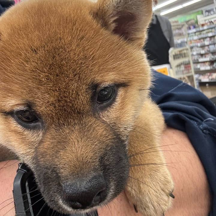 De1be31a a6cc 4495 96cf 29e11215e77a 1760845738339