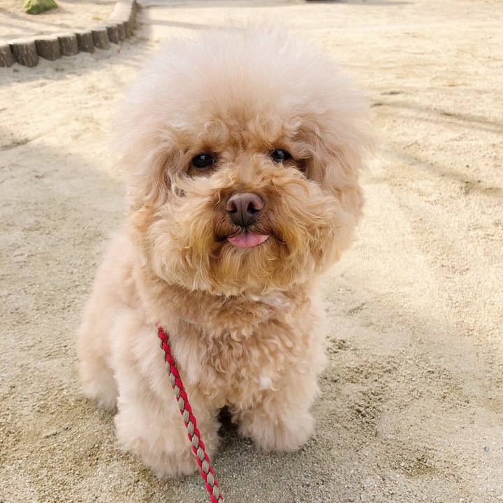 De1be8f6 27d9 4652 bf93 aa314bc3ed32 1517362481699