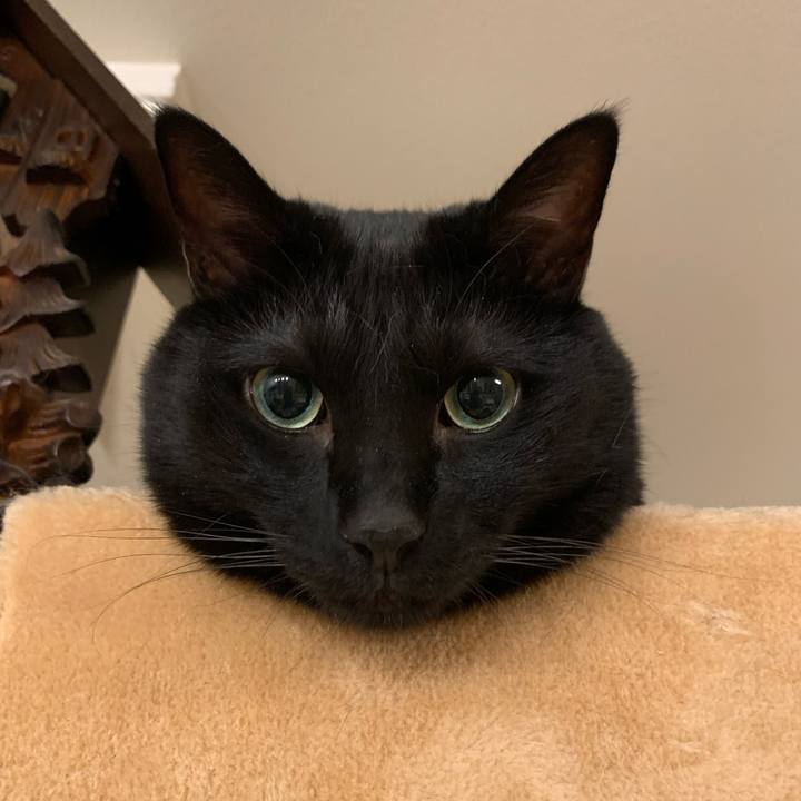 De1bed75 9b34 431b 8b91 32ae1b3cfcd0 1725635708812