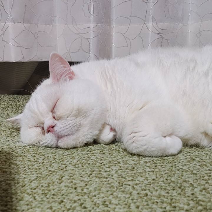 De1c0b22 b842 4a22 a6db 06b9b160f84c 1668334291736