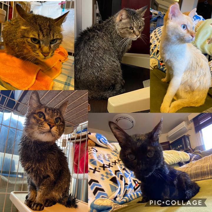 De1c304d f8fa 47d2 8a1e 6be0b8f64d81 1590545943060