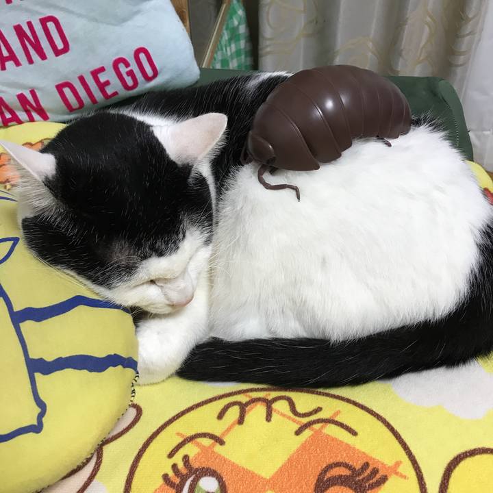 De1c35ac 13e9 4e75 9c80 04687d363060 1571961178900