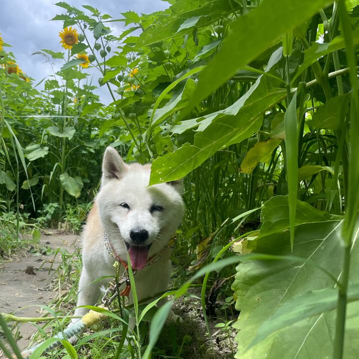 De1c40b1 56ce 47a3 bc6a 4227d6aa3249 1753100342949