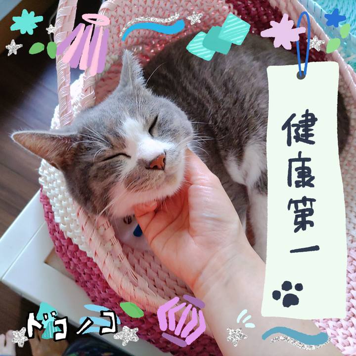 De1c880e 3199 4b16 b930 2169d92f0019 1720836647980