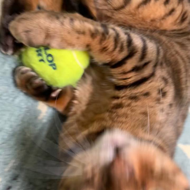 De1c8fba 94bd 4c9a 9283 fca92767c605 1588197706940