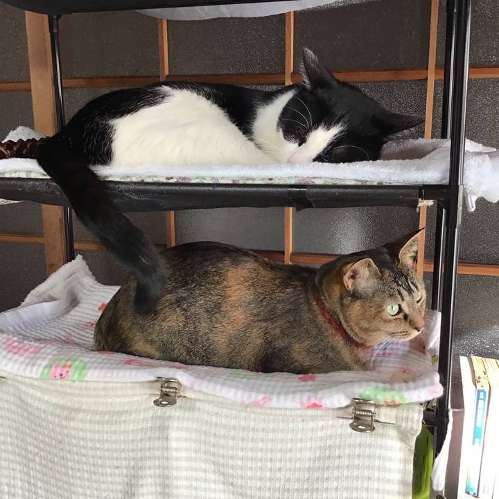 De1c923c 77b2 4b6f 9a84 4e38ffbeb017 1642469201059