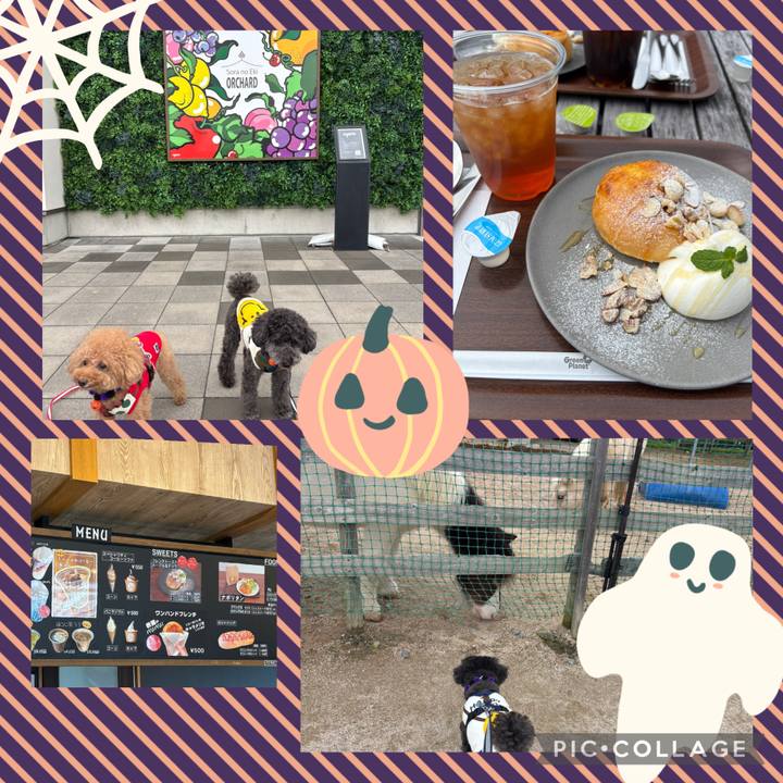 De1cb2d6 c2b6 4f12 b8f8 3c080e0cc10e 1761457531152