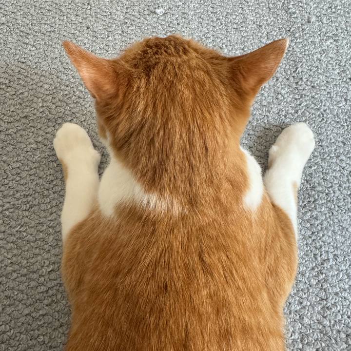 De1cbd1d cc68 40da 9b1d 96cb7b128427 1768989121877