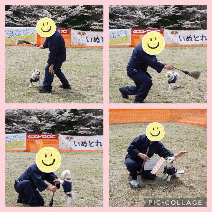 De1cd234 6e7f 41e1 b2fc ab220af7b019 1648948048411