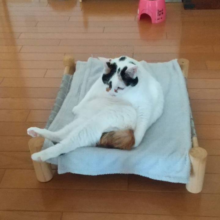 De1cec43 cecb 4ea2 a4ab 14df3dcf2e29 1710114355032