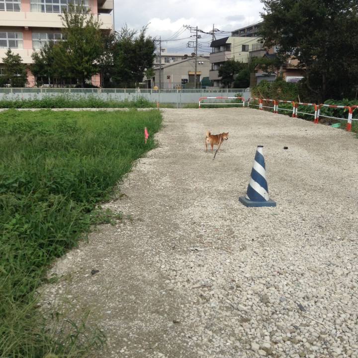 De1d2968 d392 4c61 959d 779d3231bed1 1537685689536