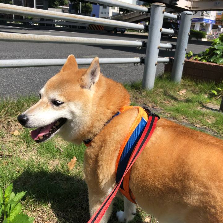 De1d3fa2 b4ef 45d4 b36a de2d41149048 1595160991420