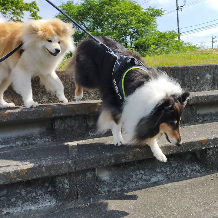 De1d4c6d d364 4fe8 9653 c3194c863007 1619877375822