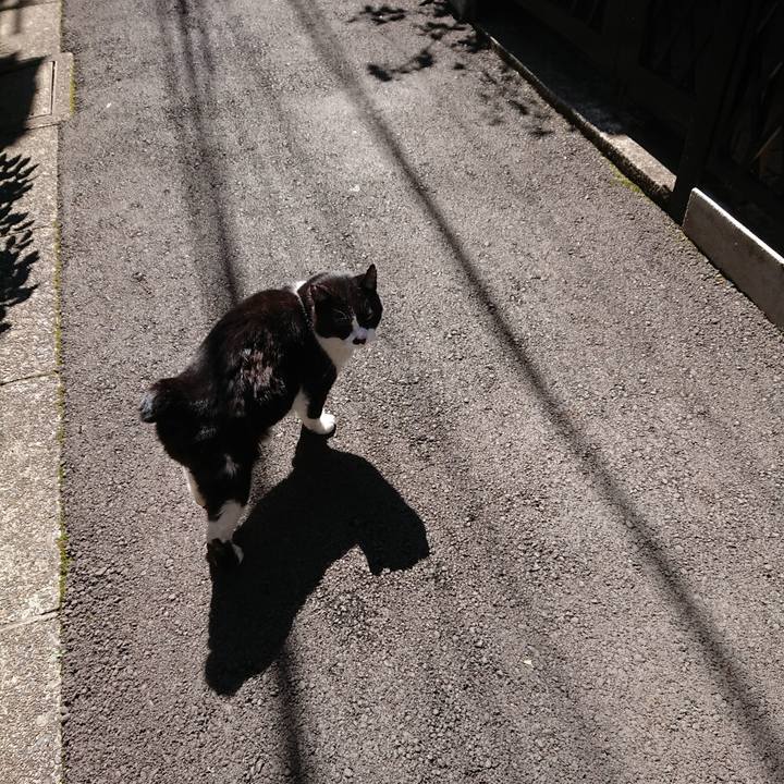 De1d99ea 1d33 4bba ab37 e2f589bebf6e 1679198002644