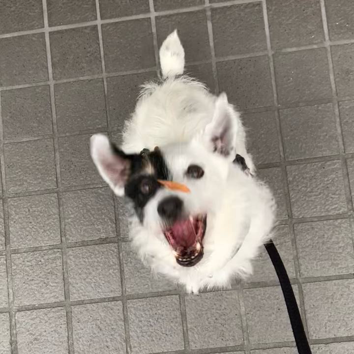 De1da0da 0054 4204 8b33 978ea7cda2b2 1719910039307