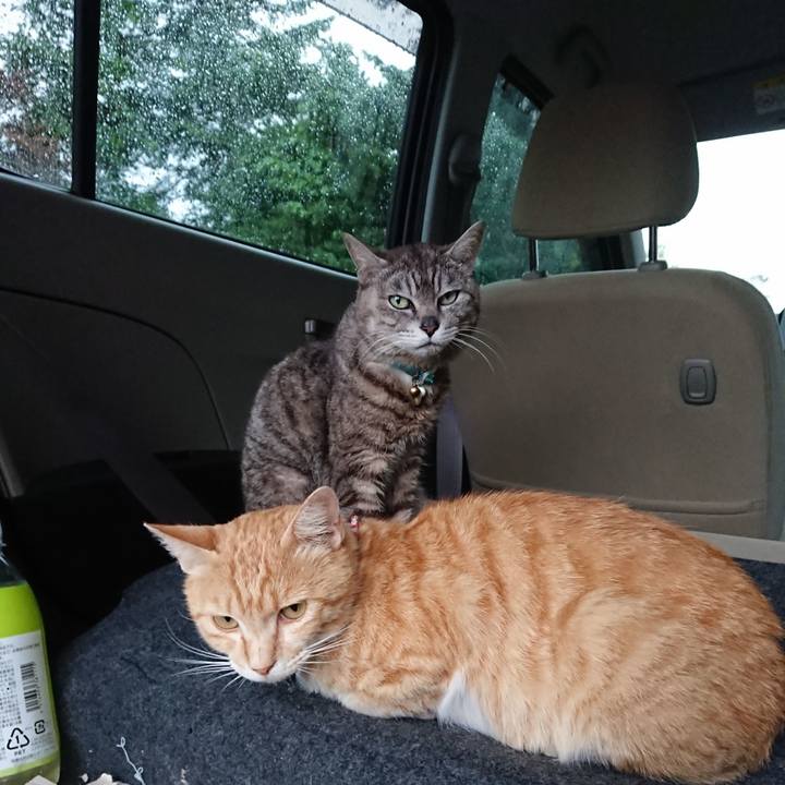 De1da26d 3c65 479d bc3d 507e4362d216 1561193411776