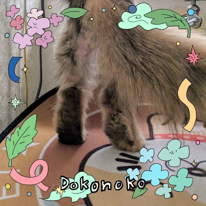 De1dbc64 eca5 4f43 b0bb 52a1e1a2980d 1718051842902