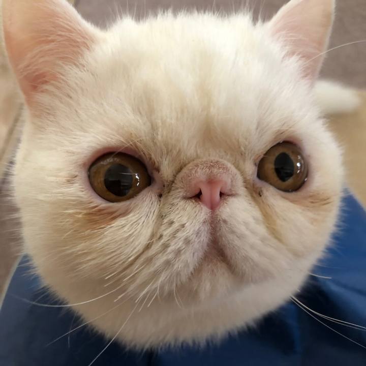 De1dcc9e c33b 4bb3 a4cd 42139772d141 1560578355711