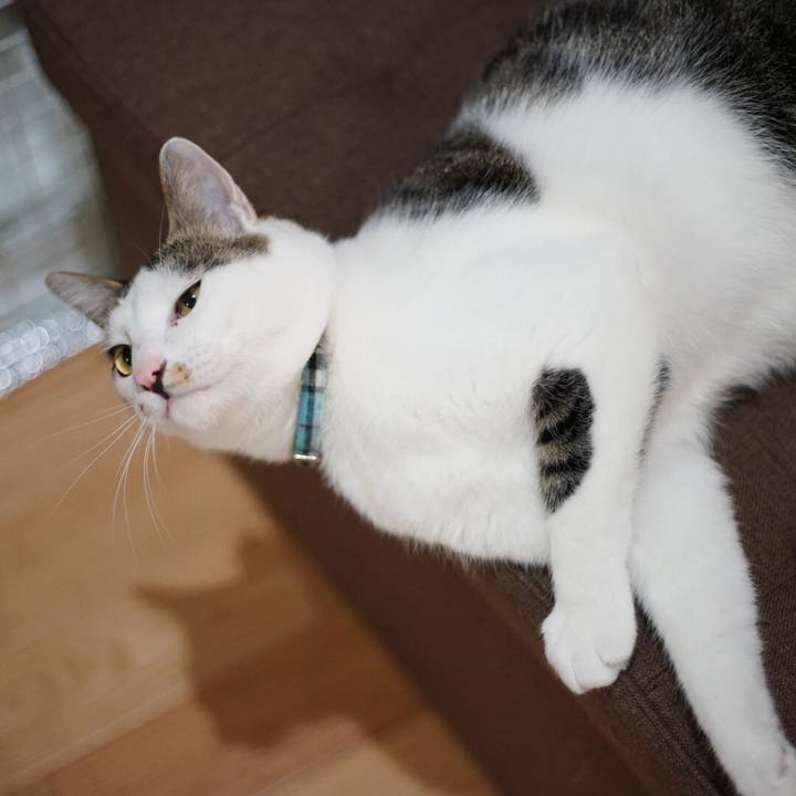 De1de61b 9156 4b11 abd8 0cda391e44b2 1519080625523