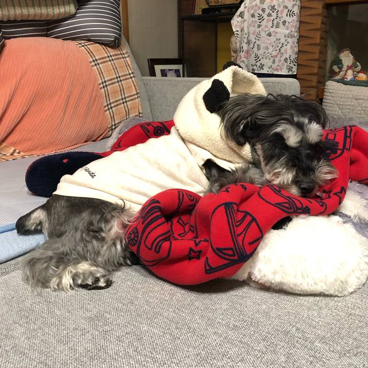 De1dec9b 5fbf 4a94 8377 b4a295c8d054 1703860232522