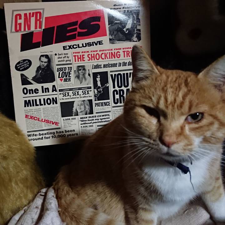 De1df83d 4d14 4a6e 9b4e 63bc51caa2f5 1606472800870