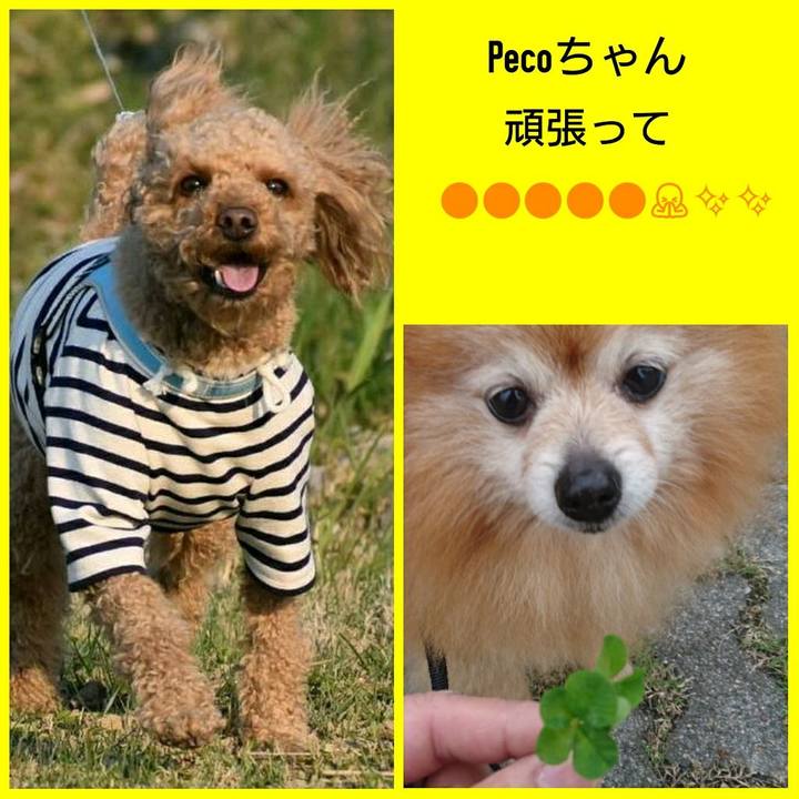 De1dff3b 12ba 4588 9621 ebd49b252e26 1525777172493