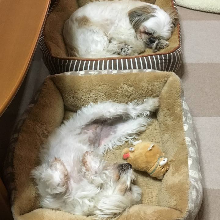 De1dff41 9060 49d5 be35 7a9c55a2f1fe 1515367748963