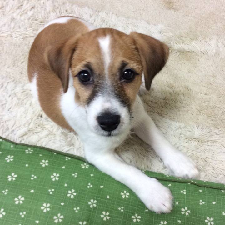 De1e2ee5 c4d3 419a b609 2ef2b80bf983 1555731726411