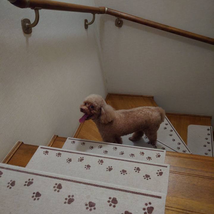 De1e6ebd 9c17 4801 b1a4 d1aed6c3c7d3 1724586036692