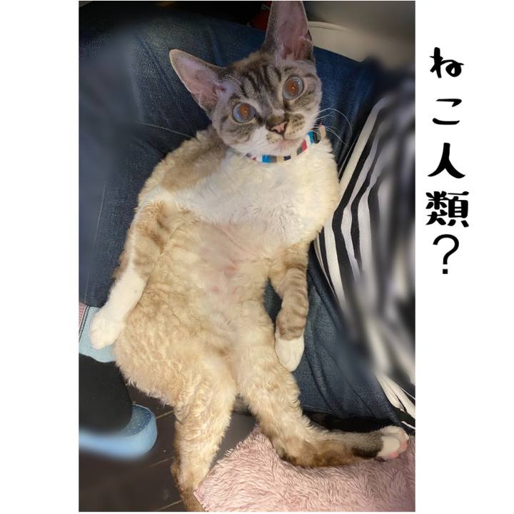 De1e8443 f08c 489c 851c fbce76f142c3 1613963740379