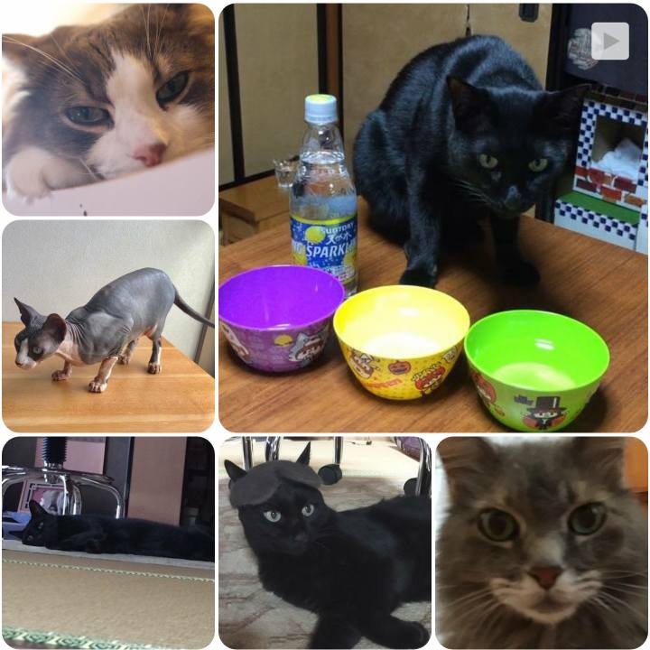 De1e84f3 e1a9 4e2f abf4 4fbbc6212c3a 1568193223305