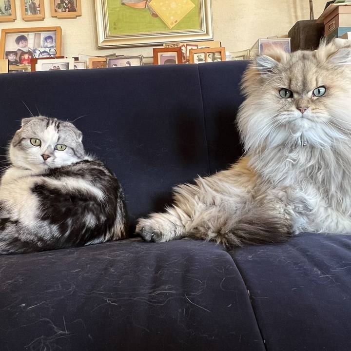 De1ebef3 2d0e 4a47 baac f6604de7a1fe 1707815604394