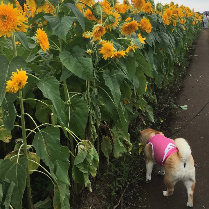 De1ed659 21cb 4dac adae 86c3e00f0dc6 1567334899859