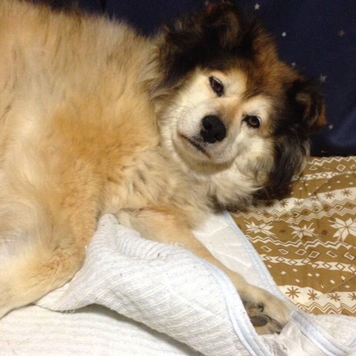 De1f033d 1981 4c4b b0fb b1031e774a27 1547919045904