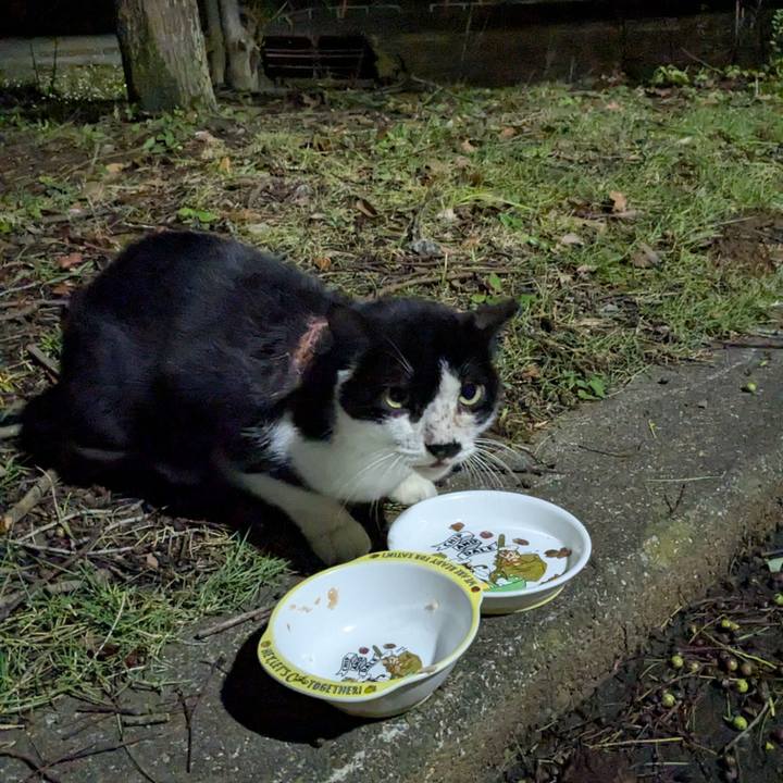 De1f170f 5146 4a64 9ab8 e978c99a020c 1757987410427