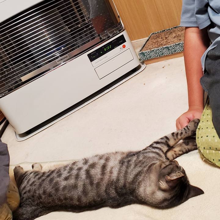 De1f19a7 5002 4b16 9c50 8fcd61552d3a 1696739831677