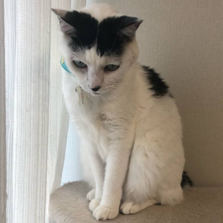 De1f2af1 df9e 4fbf 93e3 53999d9c389f 1537000005273